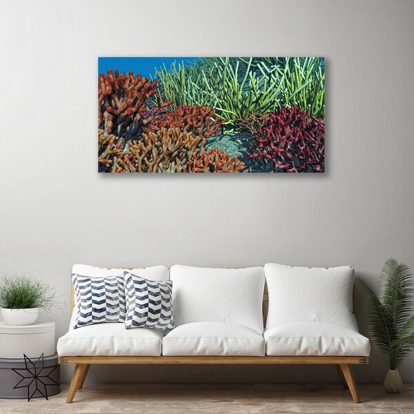 Quadro su tela Natura della barriera corallina 100x50 cm