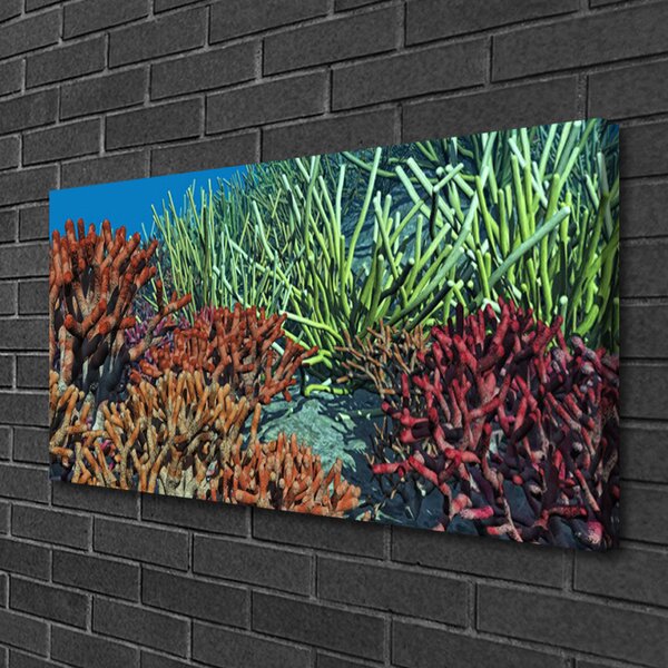 Quadro su tela Natura della barriera corallina 100x50 cm