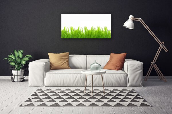 Foto quadro su tela Erba, piante, natura 100x50 cm