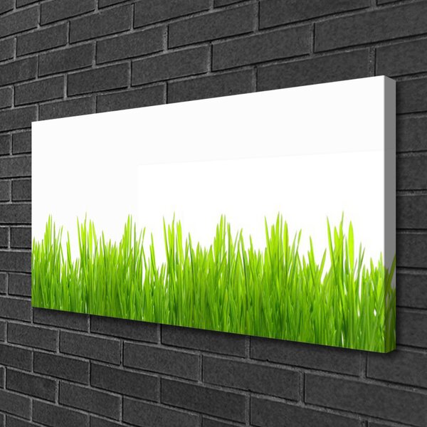 Foto quadro su tela Erba, piante, natura 100x50 cm