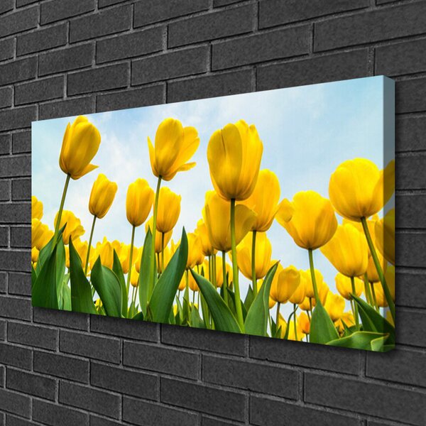 Quadro stampa su tela Tulipani, fiori, piante 100x50 cm