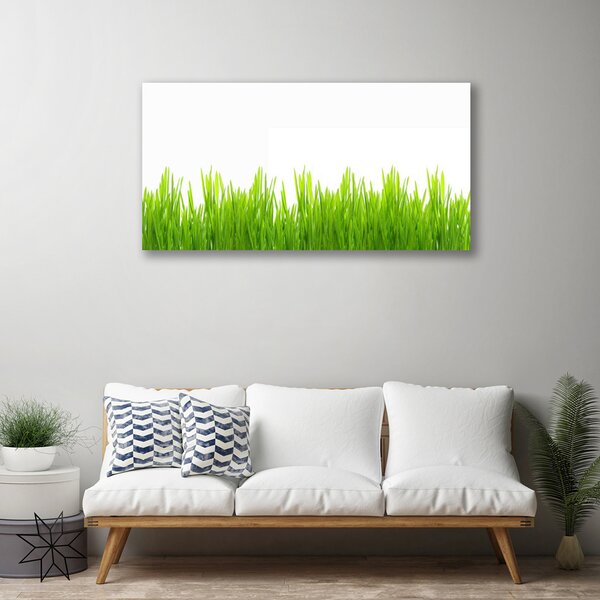 Foto quadro su tela Erba, piante, natura 100x50 cm