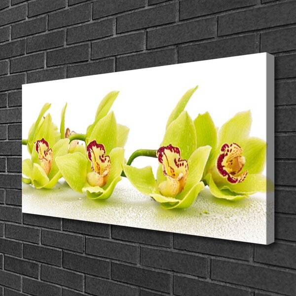 Quadro su tela Fiori, piante, natura 100x50 cm