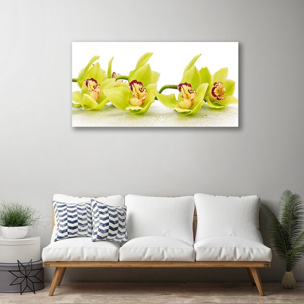 Quadro su tela Fiori, piante, natura 100x50 cm
