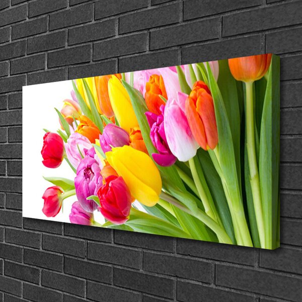 Quadro su tela Tulipani, fiori, piante 100x50 cm