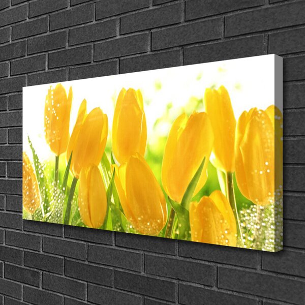 Quadro su tela Tulipani, fiori, piante 100x50 cm