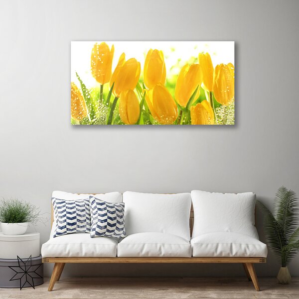 Quadro su tela Tulipani, fiori, piante 100x50 cm