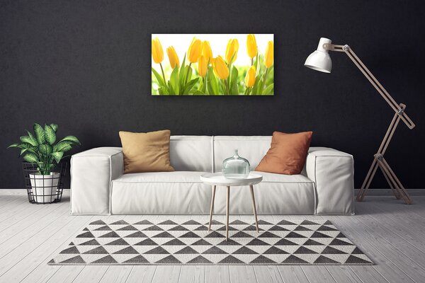 Quadro su tela Tulipani, fiori, piante 100x50 cm