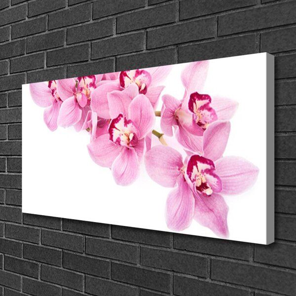 Stampa quadro su tela Fiori, piante, natura 100x50 cm