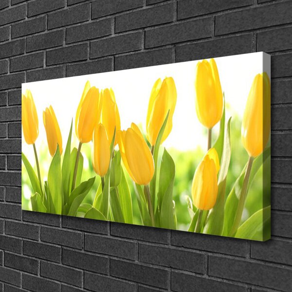 Quadro su tela Tulipani, fiori, piante 100x50 cm