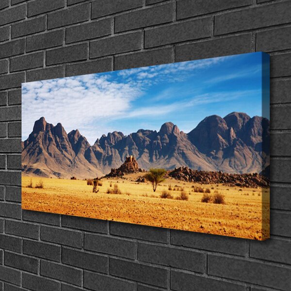 Quadro su tela Paesaggio delle montagne del deserto 100x50 cm