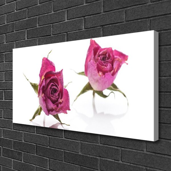 Quadro su tela Rose, fiori, piante 100x50 cm