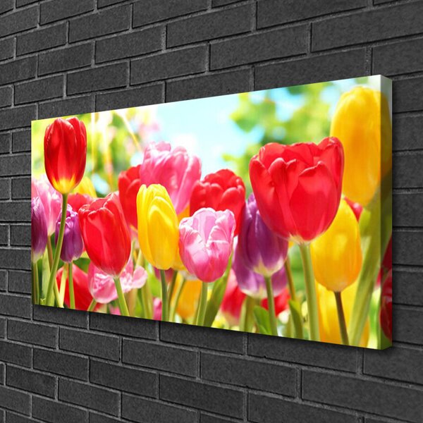 Quadro su tela Tulipani, fiori, piante 100x50 cm