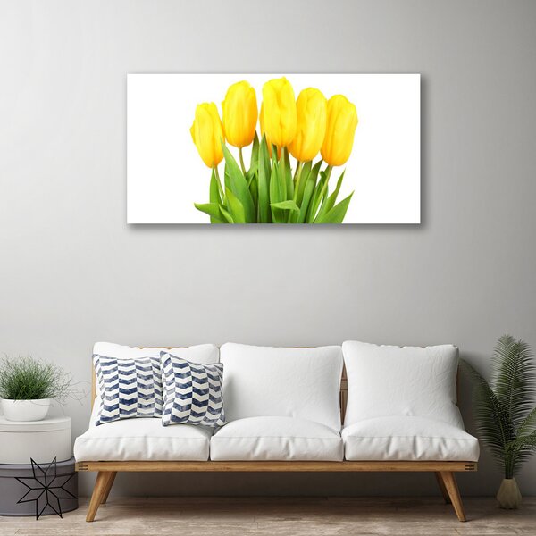 Foto quadro su tela Tulipani, fiori, piante 100x50 cm