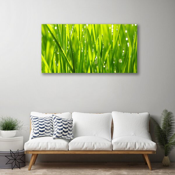 Quadro su tela Erba, piante, natura 100x50 cm