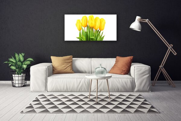 Foto quadro su tela Tulipani, fiori, piante 100x50 cm