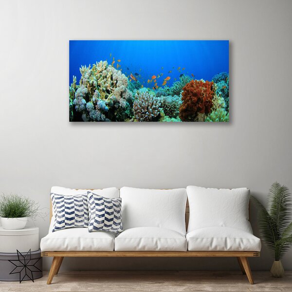 Quadro su tela Natura della barriera corallina 100x50 cm