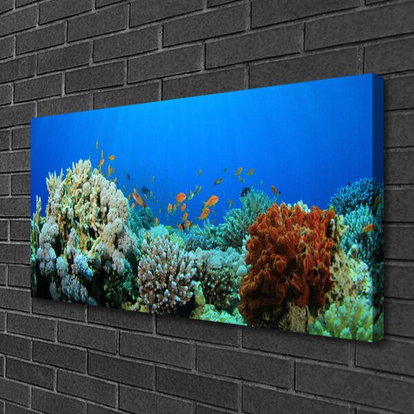 Quadro su tela Natura della barriera corallina 100x50 cm