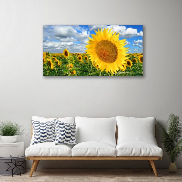 Stampa quadro su tela Pianta di fiori di girasole 100x50 cm