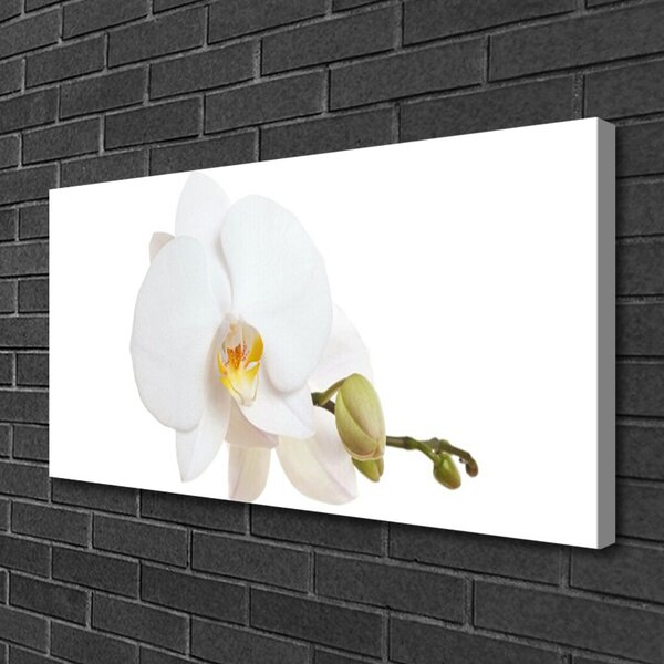 Quadro su tela Fiore, pianta, natura 100x50 cm