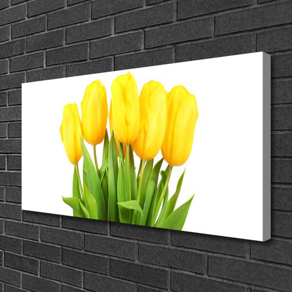 Foto quadro su tela Tulipani, fiori, piante 100x50 cm