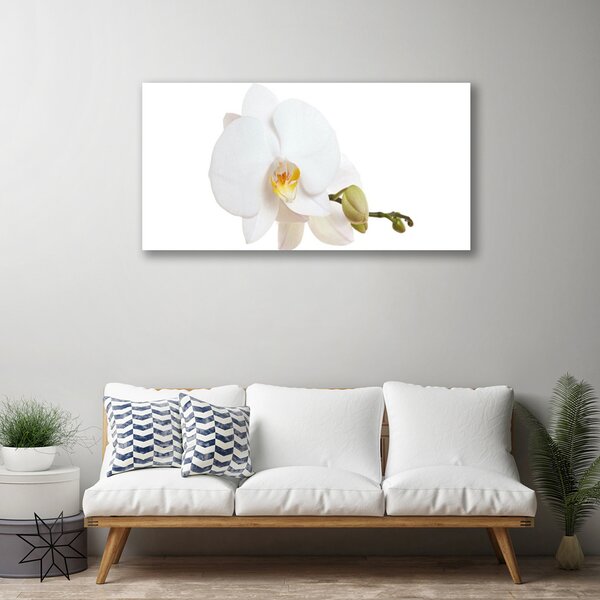 Quadro su tela Fiore, pianta, natura 100x50 cm