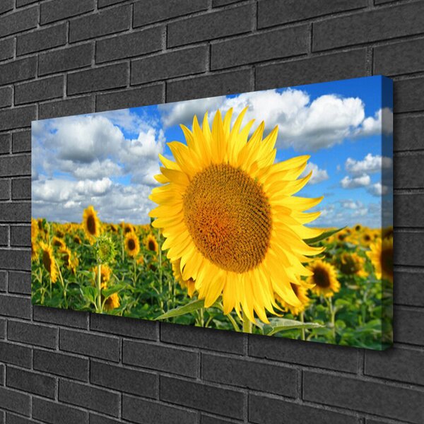 Stampa quadro su tela Pianta di fiori di girasole 100x50 cm
