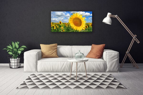 Stampa quadro su tela Pianta di fiori di girasole 100x50 cm