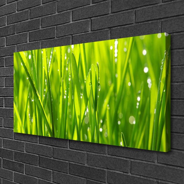 Quadro su tela Erba, piante, natura 100x50 cm