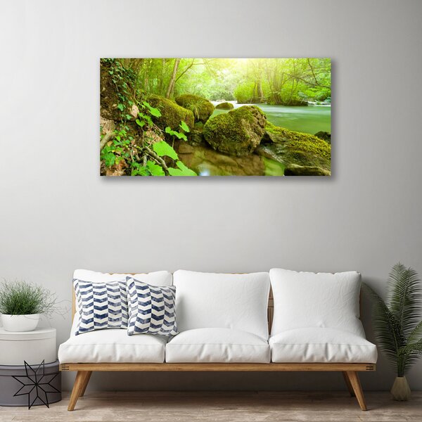 Quadro su tela Natura River Lake 100x50 cm