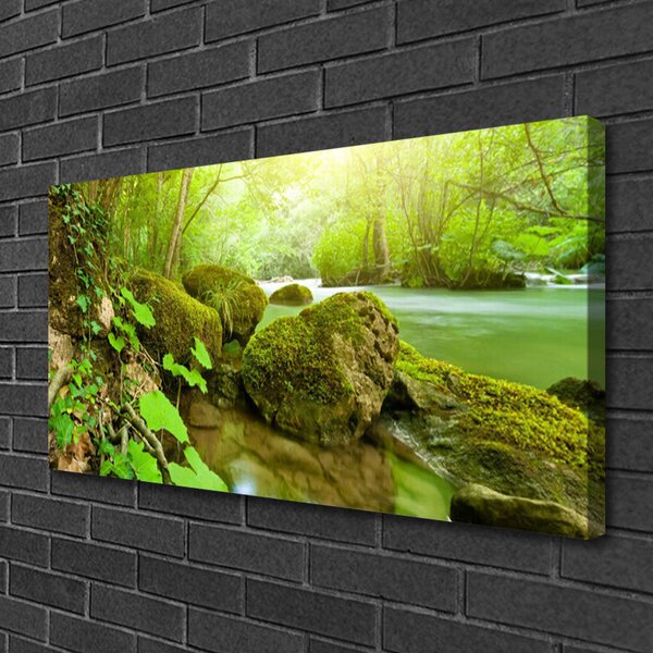 Quadro su tela Natura River Lake 100x50 cm