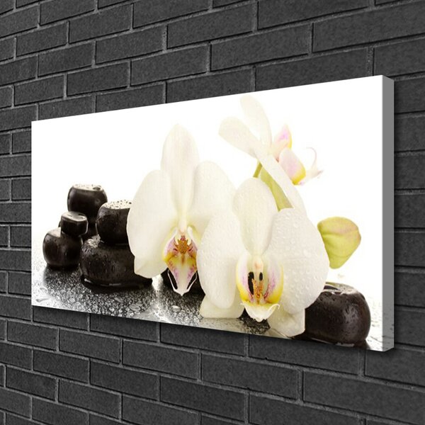 Quadro su tela Fiore di orchidea bianca 100x50 cm