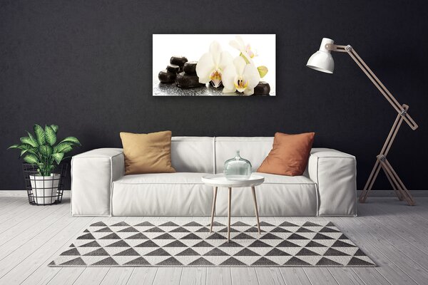 Quadro su tela Fiore di orchidea bianca 100x50 cm