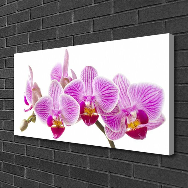 Quadro su tela Fiori, piante, natura 100x50 cm