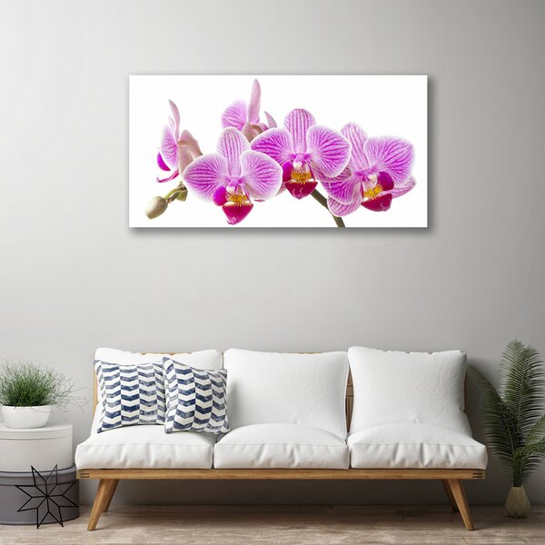 Quadro su tela Fiori, piante, natura 100x50 cm