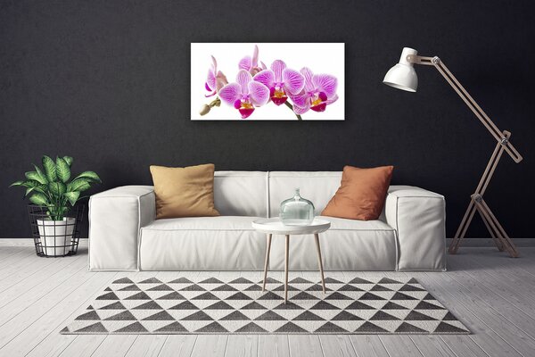 Quadro su tela Fiori, piante, natura 100x50 cm