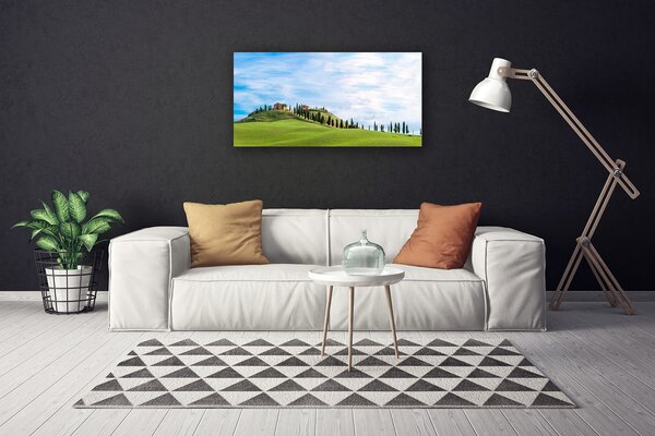 Quadro su tela Paesaggio degli alberi del prato 100x50 cm
