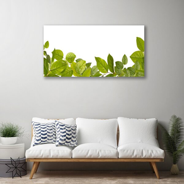 Quadro su tela Foglie di piante naturali 100x50 cm
