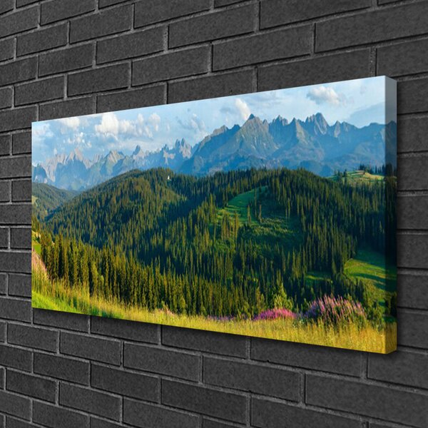 Foto quadro su tela Natura della foresta di montagna 100x50 cm