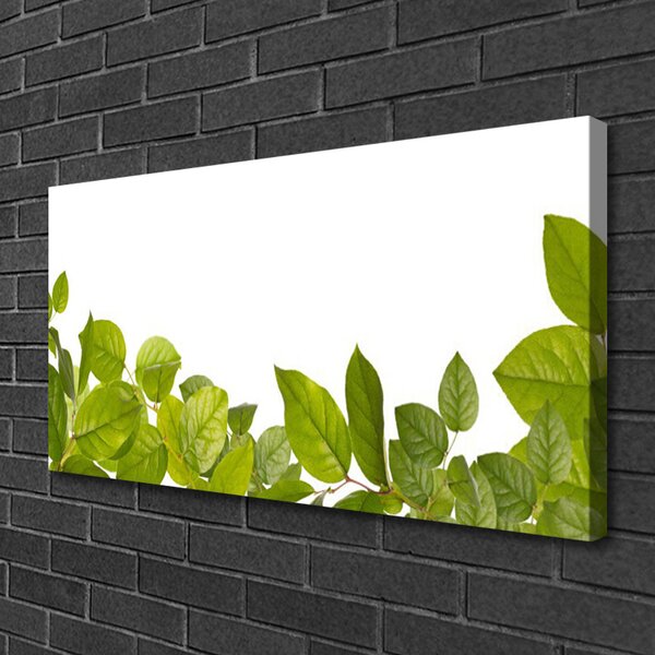 Quadro su tela Foglie di piante naturali 100x50 cm