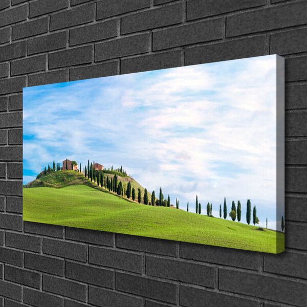 Quadro su tela Paesaggio degli alberi del prato 100x50 cm