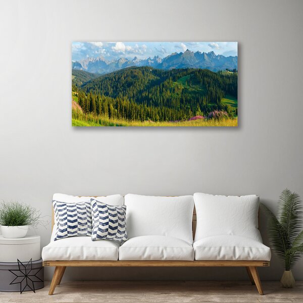 Foto quadro su tela Natura della foresta di montagna 100x50 cm