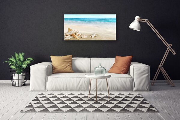 Stampa quadro su tela Stelle marine di conchiglie 100x50 cm