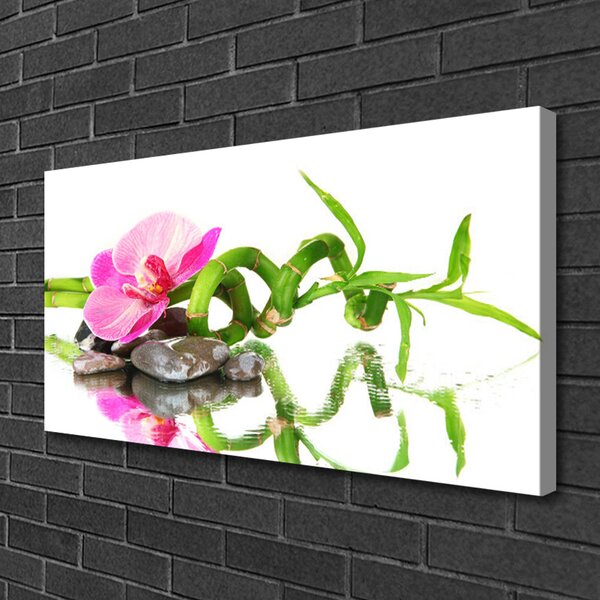 Quadro su tela Pietre di fiori di bambù Art 100x50 cm