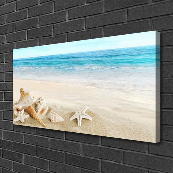 Stampa quadro su tela Stelle marine di conchiglie 100x50 cm