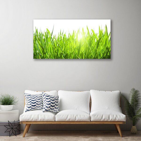 Quadro su tela Erba, piante, natura 100x50 cm