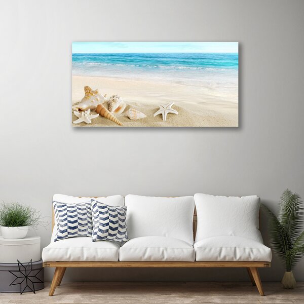 Stampa quadro su tela Stelle marine di conchiglie 100x50 cm