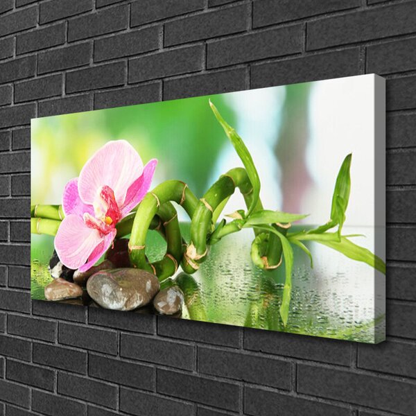 Foto quadro su tela Bambù Stelo Pianta Natura 100x50 cm