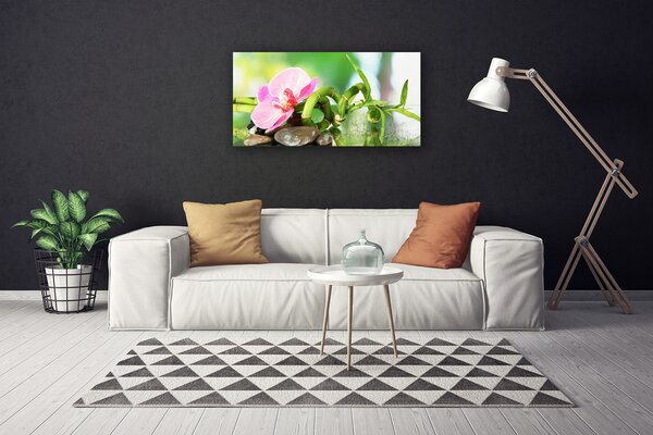 Foto quadro su tela Bambù Stelo Pianta Natura 100x50 cm