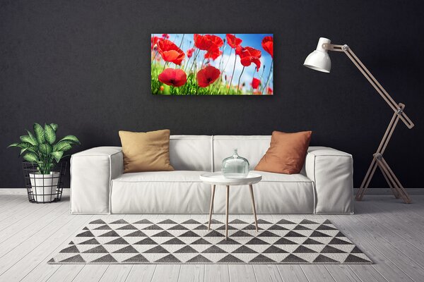 Quadro su tela Natura, papaveri, piante 100x50 cm